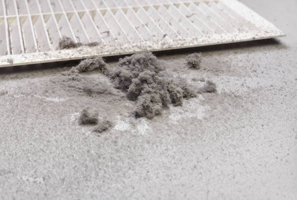 Best Duct Cleaning for Offices  in Bangor, MI