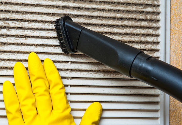 Best Air Duct Cleaning Company Near Me  in Bangor, MI